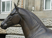 Kopf des Hengstes "Donnerhall" in Bronzeguss